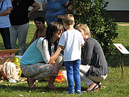 Projekty i programy: Projekt – „nie zamykaj oczu – reaguj”